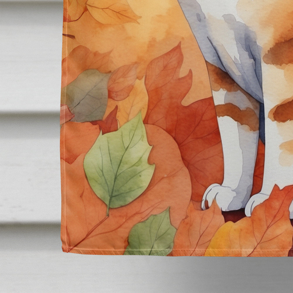 Malayan Cat in Fall Leaves House Flag 28x40 Porch Sleeve Pole Decorative Outside Yard Banner Artwork Wall Hanging, Polyester