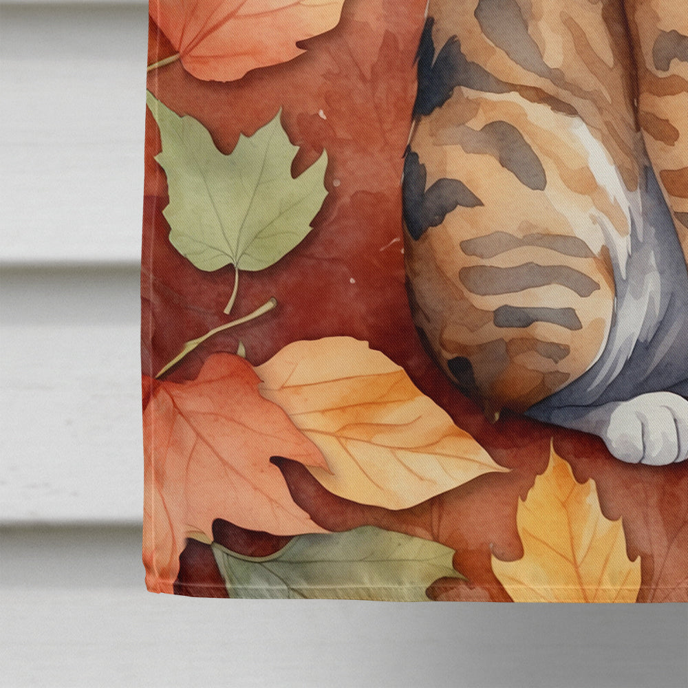 Oregon Rex Cat in Fall Leaves House Flag 28x40 Porch Sleeve Pole Decorative Outside Yard Banner Artwork Wall Hanging, Polyester