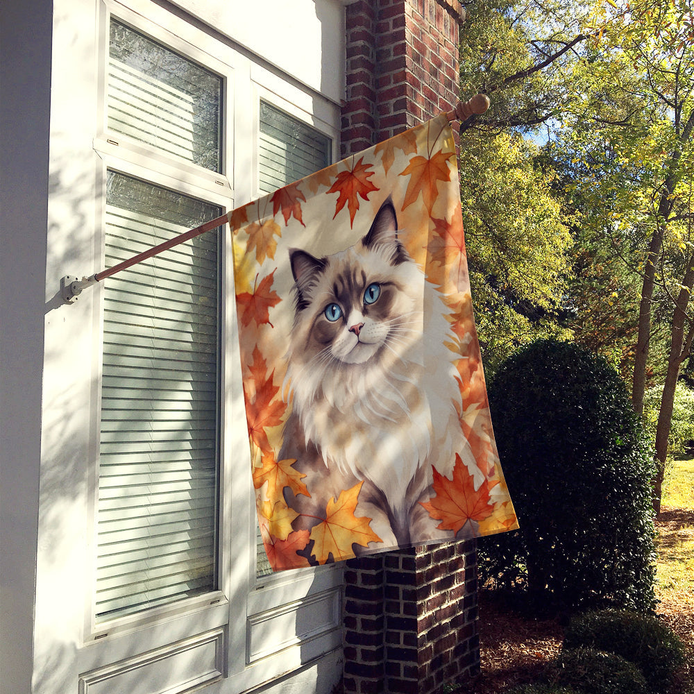Ragdoll Cat in Fall Leaves House Flag 28x40 Porch Sleeve Pole Decorative Outside Yard Banner Artwork Wall Hanging, Polyester