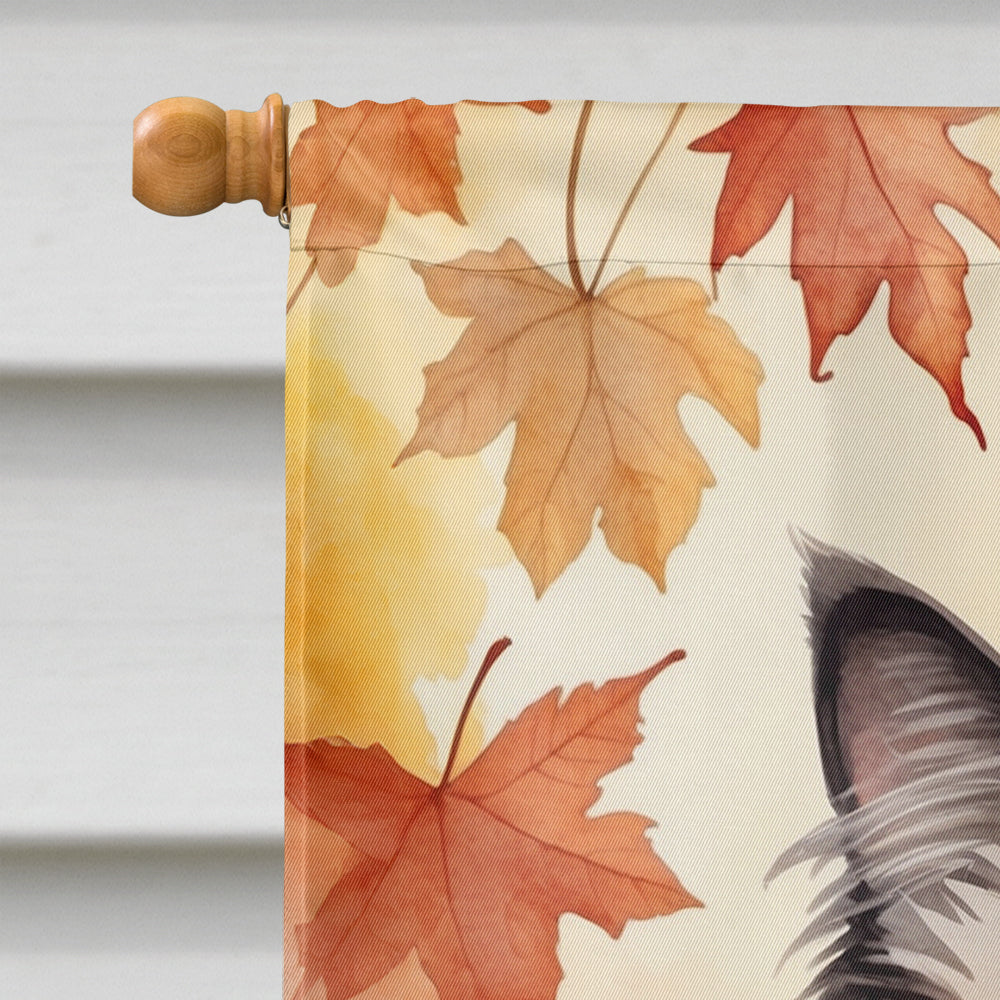 Ragdoll Cat in Fall Leaves House Flag 28x40 Porch Sleeve Pole Decorative Outside Yard Banner Artwork Wall Hanging, Polyester