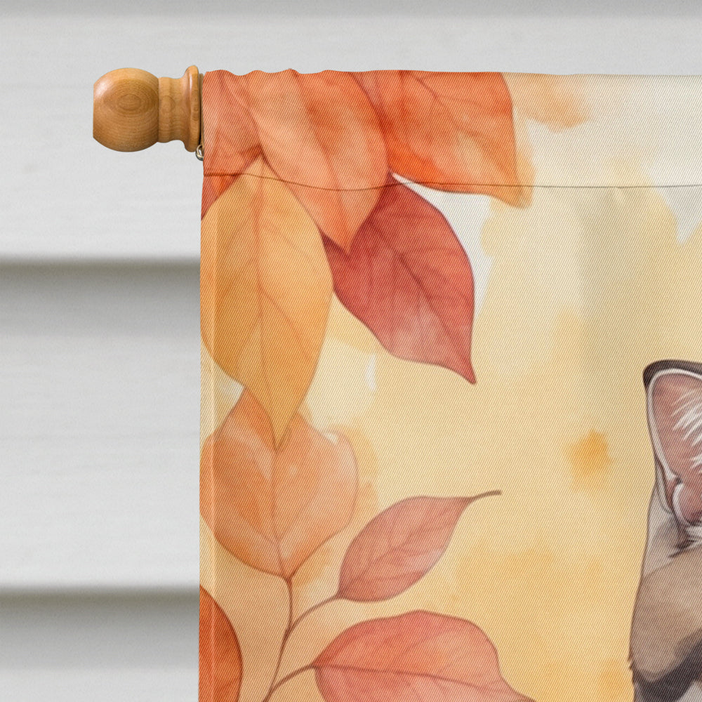 Scottish Fold Cat in Fall Leaves House Flag 28x40 Porch Sleeve Pole Decorative Outside Yard Banner Artwork Wall Hanging, Polyester
