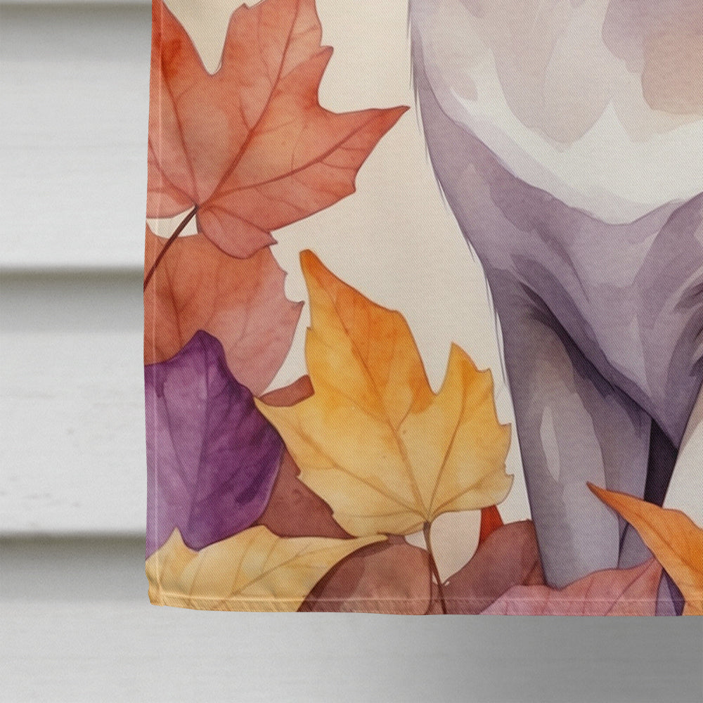 Thai Lilac Cat in Fall Leaves House Flag 28x40 Porch Sleeve Pole Decorative Outside Yard Banner Artwork Wall Hanging, Polyester