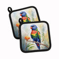 Rainbow Lorikeet Pot Holder Set of 2 Heat Resistant Quilted Hot Pads 7.5 x 7.5 Inch, Insulated Kitchen Trivets for Cooking & Baking
