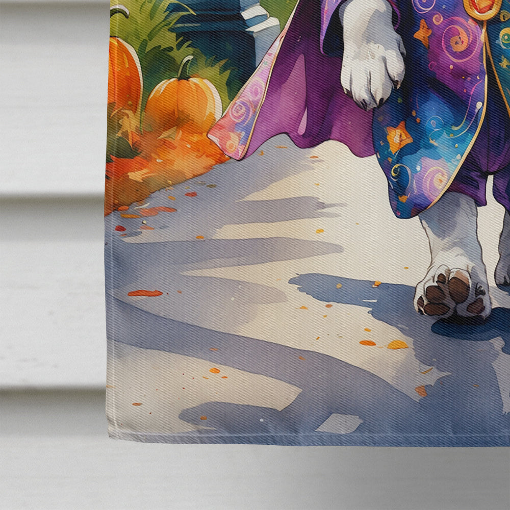 Basset Hound Halloween Trick or Treat House Flag 28x40 Porch Sleeve Pole Decorative Outside Yard Banner Artwork Wall Hanging, Polyester