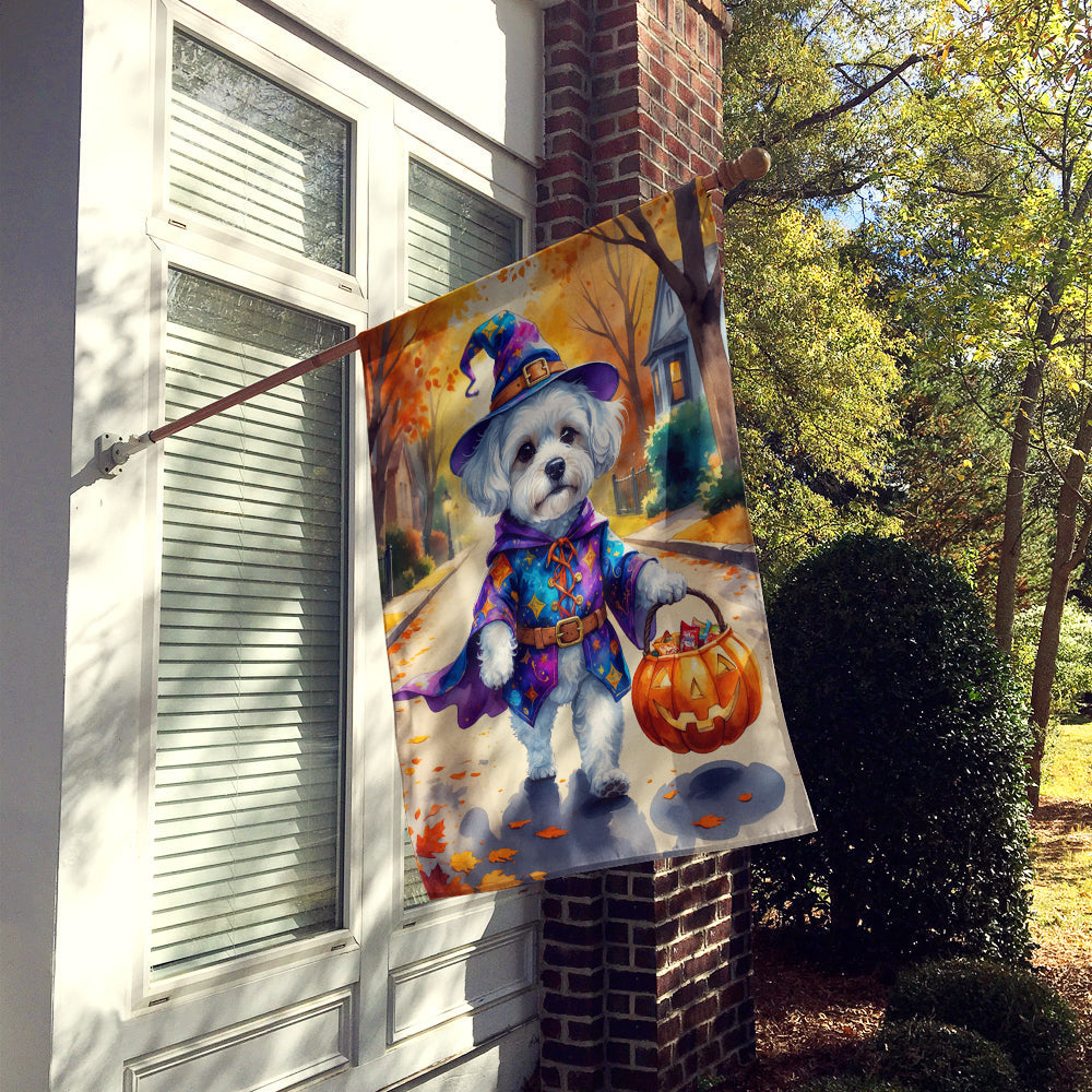 Bichon Frise Halloween Trick or Treat House Flag 28x40 Porch Sleeve Pole Decorative Outside Yard Banner Artwork Wall Hanging, Polyester