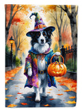 Border Collie Halloween Trick or Treat Garden Flag Mailbox Decorative Yard Banner Outside Patio Artwork for Flower Beds, Garden Size, Multicolor