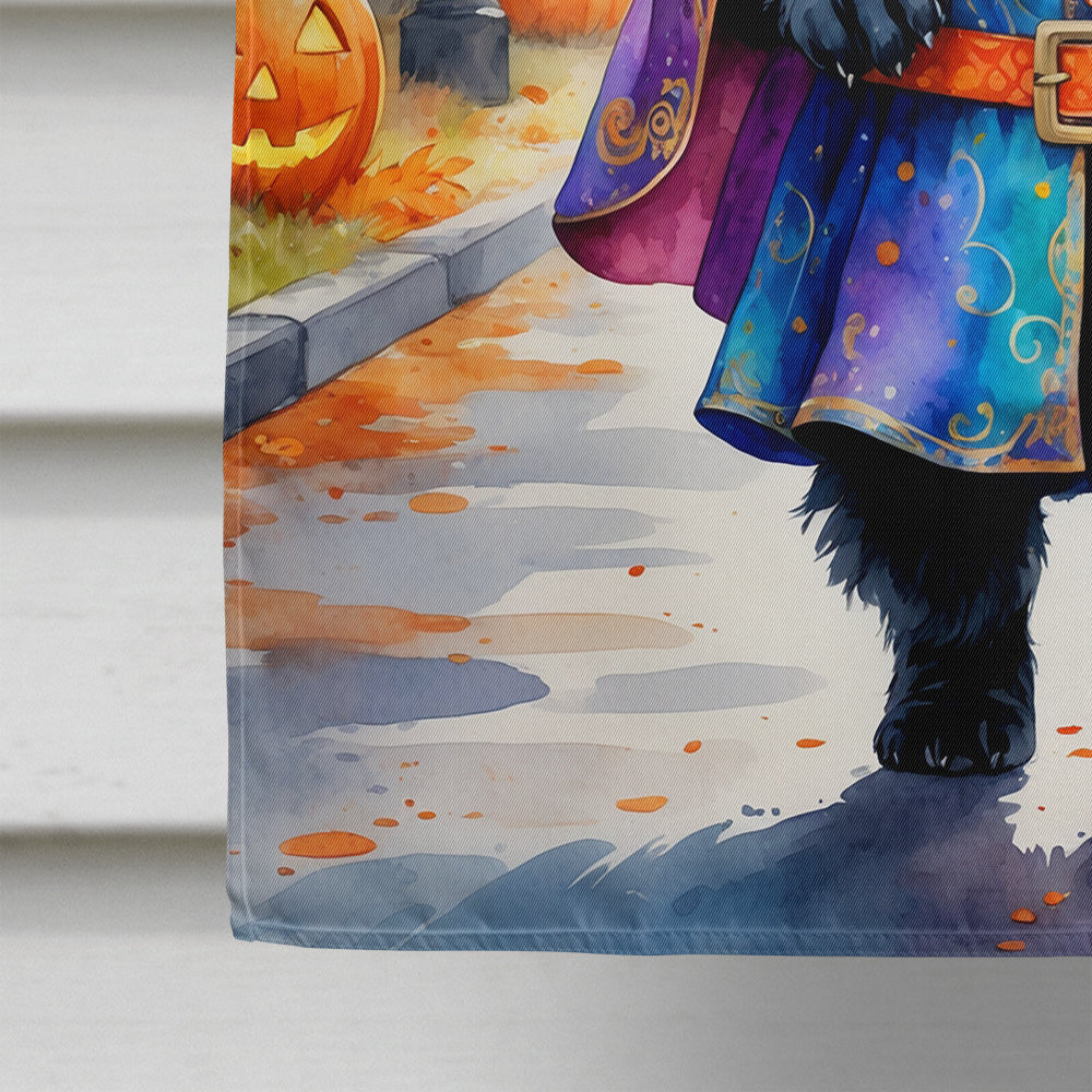Black Chow Chow Halloween Trick or Treat House Flag 28x40 Porch Sleeve Pole Decorative Outside Yard Banner Artwork Wall Hanging, Polyester