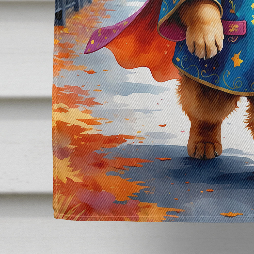 Chow Chow Halloween Trick or Treat House Flag 28x40 Porch Sleeve Pole Decorative Outside Yard Banner Artwork Wall Hanging, Polyester