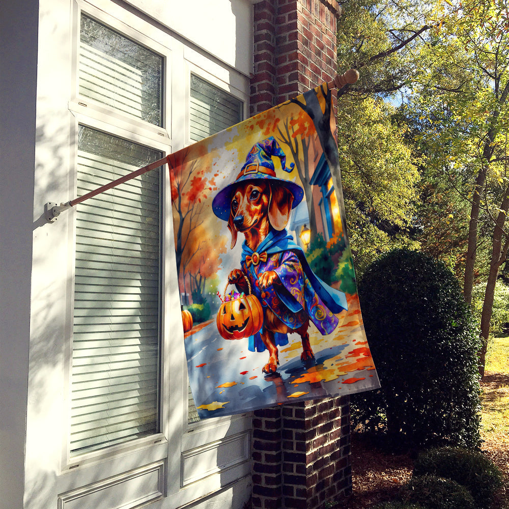 Red Dachshund Halloween Trick or Treat House Flag 28x40 Porch Sleeve Pole Decorative Outside Yard Banner Artwork Wall Hanging, Polyester