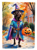 Chocolate Labrador Retriever Halloween Trick or Treat Garden Flag Mailbox Decorative Yard Banner Outside Patio Artwork for Flower Beds, Garden Size, Multicolor