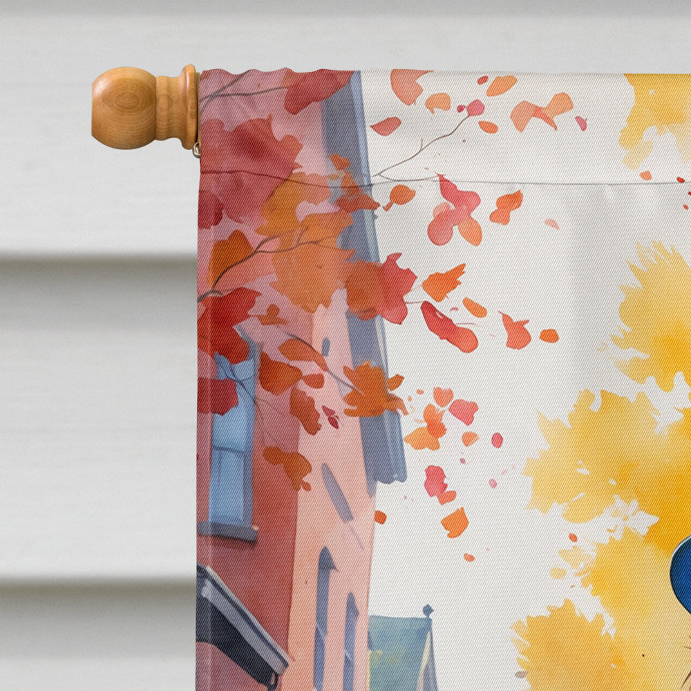 Chocolate Newfoundland Halloween Trick or Treat House Flag 28x40 Porch Sleeve Pole Decorative Outside Yard Banner Artwork Wall Hanging, Polyester