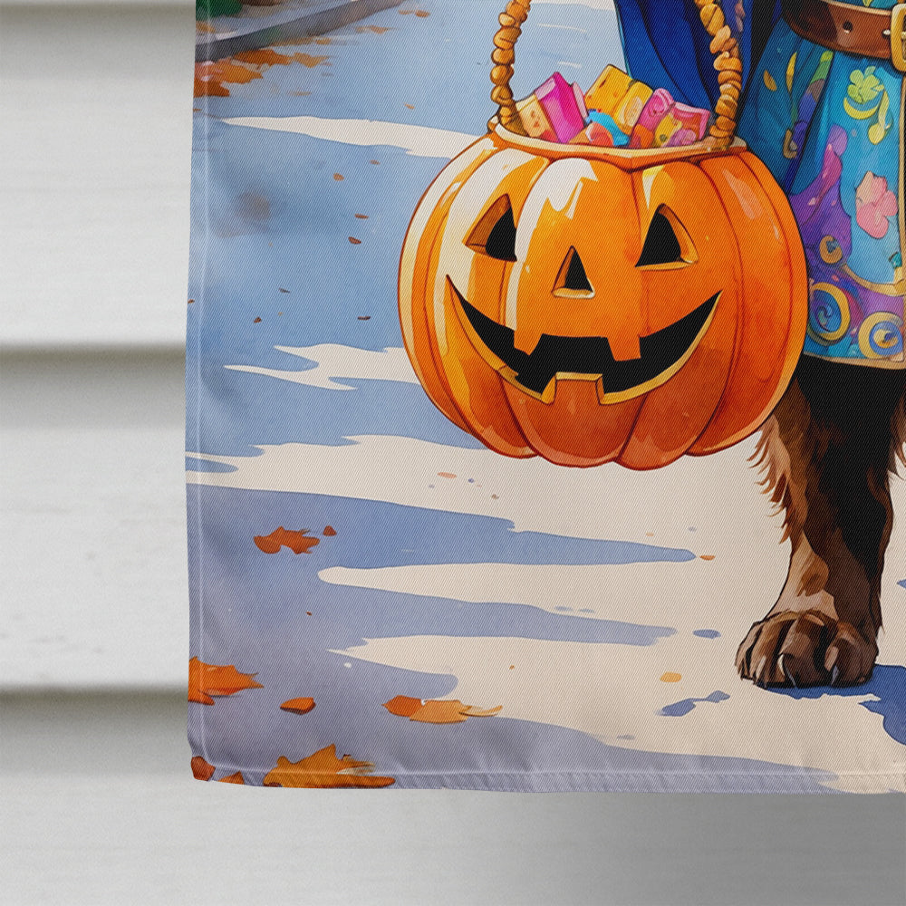 Chocolate Newfoundland Halloween Trick or Treat House Flag 28x40 Porch Sleeve Pole Decorative Outside Yard Banner Artwork Wall Hanging, Polyester