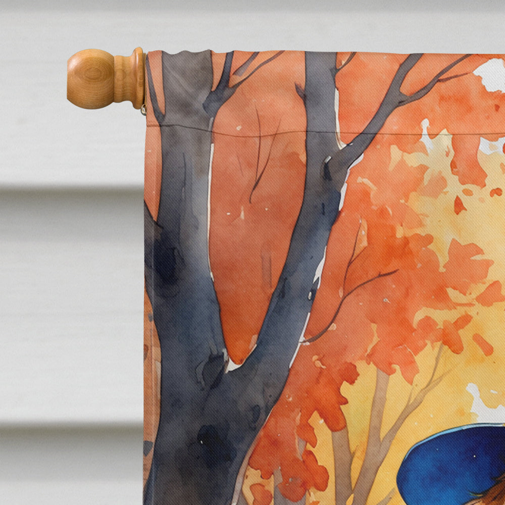 Saint Bernard Halloween Trick or Treat House Flag 28x40 Porch Sleeve Pole Decorative Outside Yard Banner Artwork Wall Hanging, Polyester
