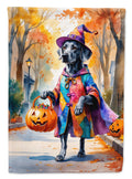 Weimaraner Halloween Trick or Treat Garden Flag Mailbox Decorative Yard Banner Outside Patio Artwork for Flower Beds, Garden Size, Multicolor