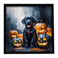 Black Labrador Retriever Puppy Halloween Framed Metal Print Bathroom, Kitchen, Office, Home Decor Wall Art Ready to Hang, Square, 8X8