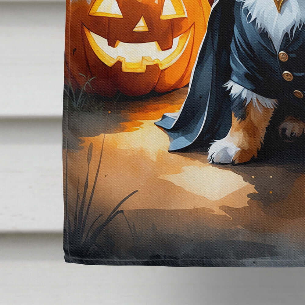 Balck and Tan Pomeranian Puppy Halloween House Flag 28x40 Porch Sleeve Pole Decorative Outside Yard Banner Artwork Wall Hanging, Polyester
