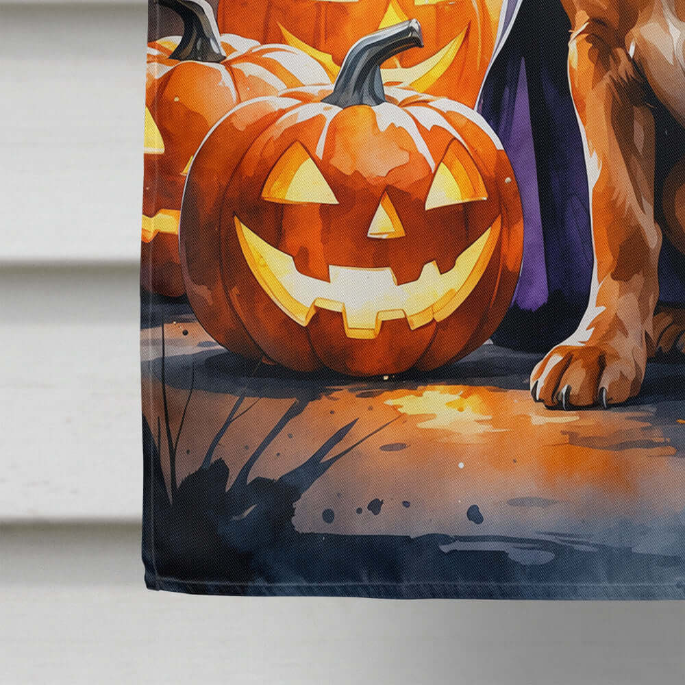 Vizsla Puppy Halloween House Flag 28x40 Porch Sleeve Pole Decorative Outside Yard Banner Artwork Wall Hanging, Polyester