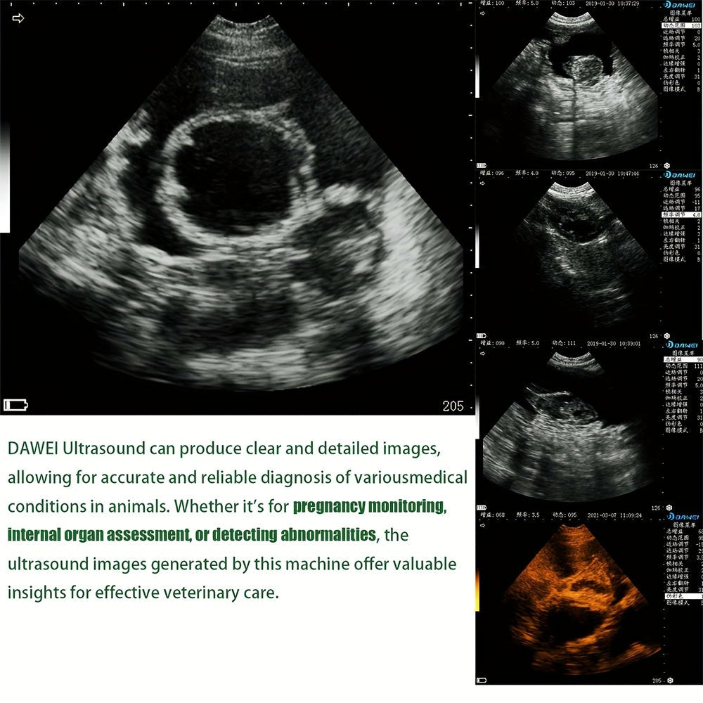 DAWEI Portable Veterinary Ultrasound Scanner (with 3.5MHz Probe), Handheld Animal Ultrasound Device For Pregnancy, For Pigs, Sheep, Dogs, And Cats, Applicable To Farms, Animal Clinics, Etc