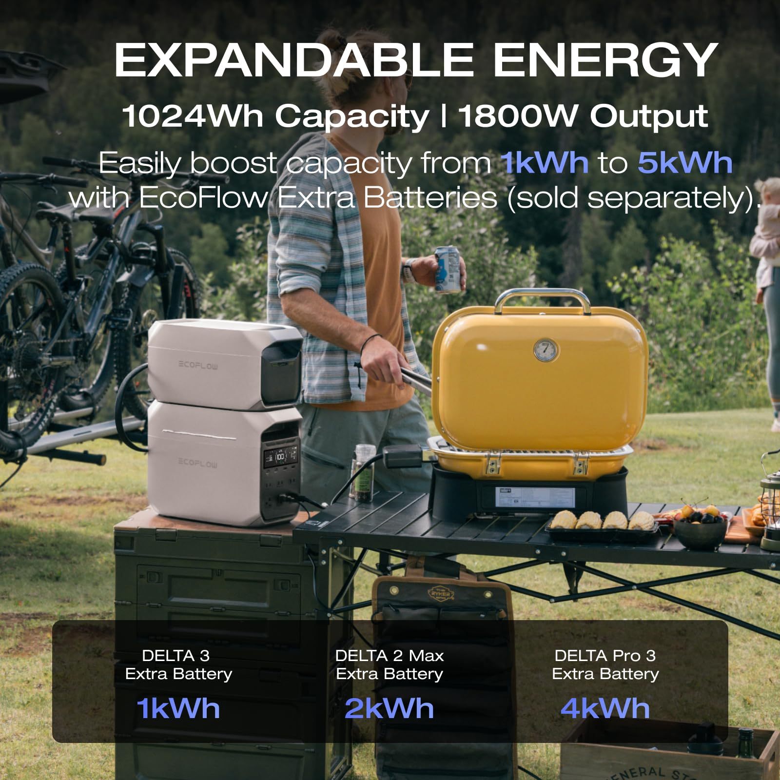 DELTA 3 Plus Portable Power Station, 1024Wh LiFePO4 Battery for 10 Years, 60min 100% Charged, 1800W AC Output Power Station, Use as a Solar Power Bank for Home Backup Power or Outdoors Camping & RVs
