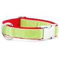 Lime Green/Red Holiday Velvet Essential Dog Collar