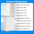 Dehumidifier with Auto Drain or Manual Drainage for Home Basement-White