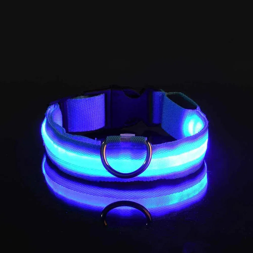 Dog LED Glow In The Dark collar.