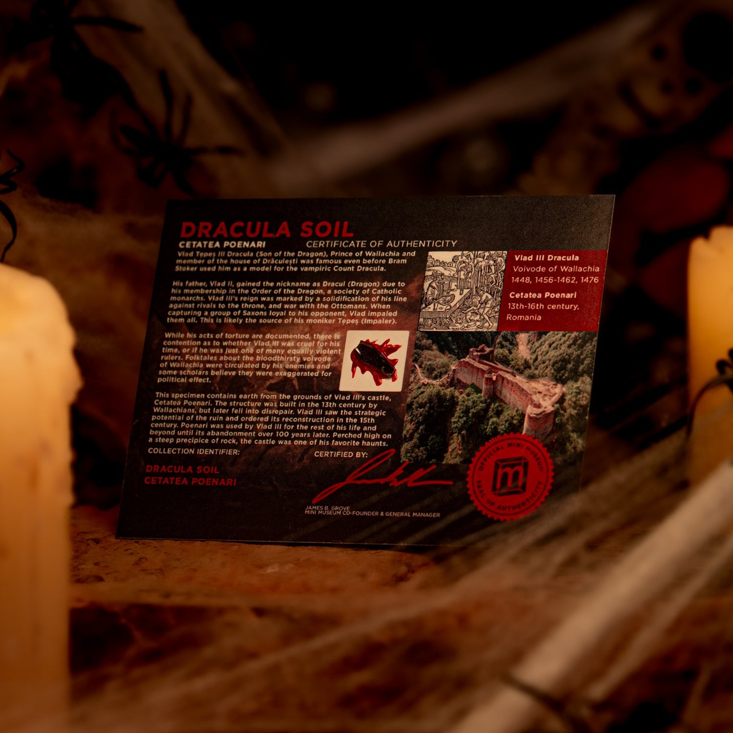 Dracula's Castle Soil Coffin - Display Card 🦇