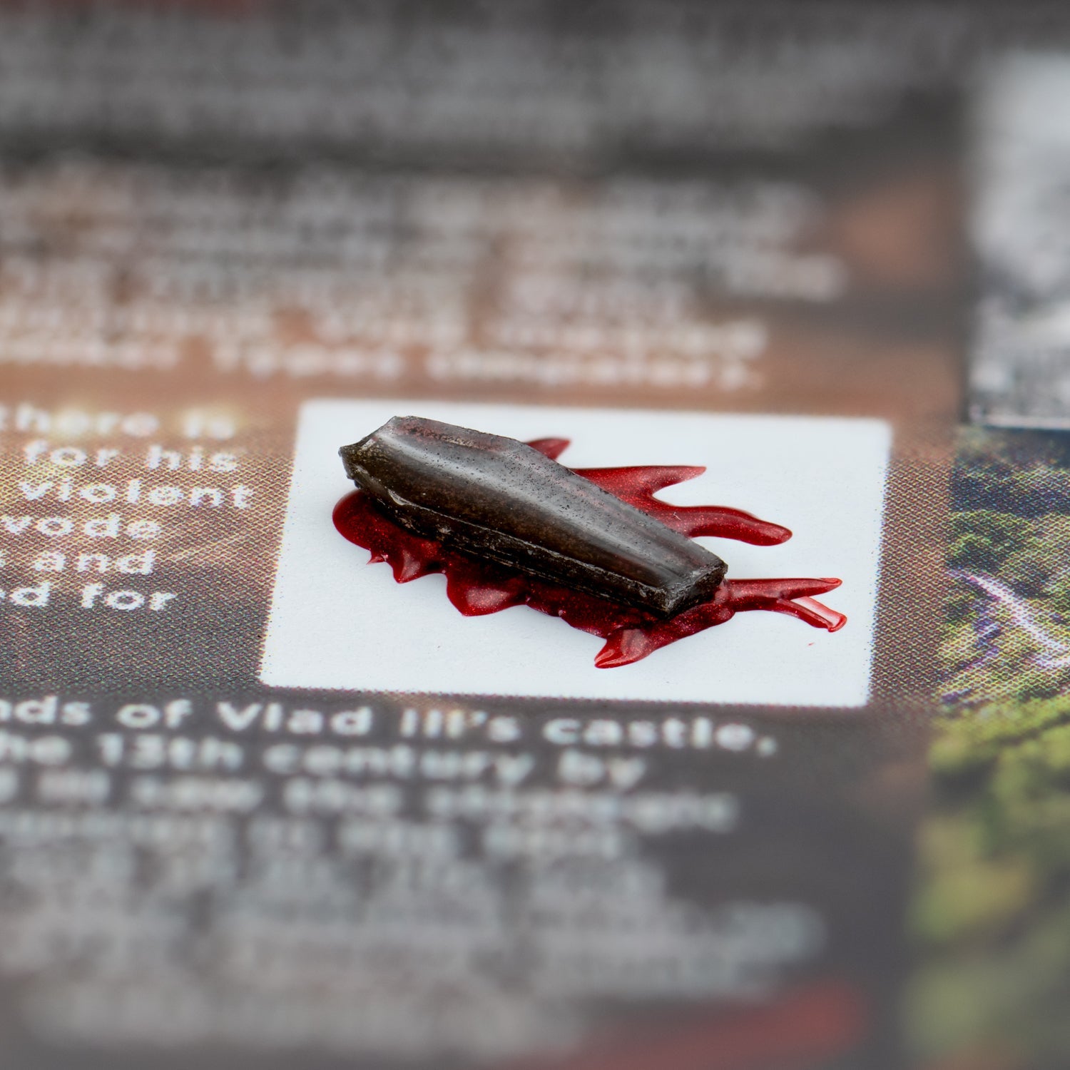 Dracula's Castle Soil Coffin - Display Card 🦇