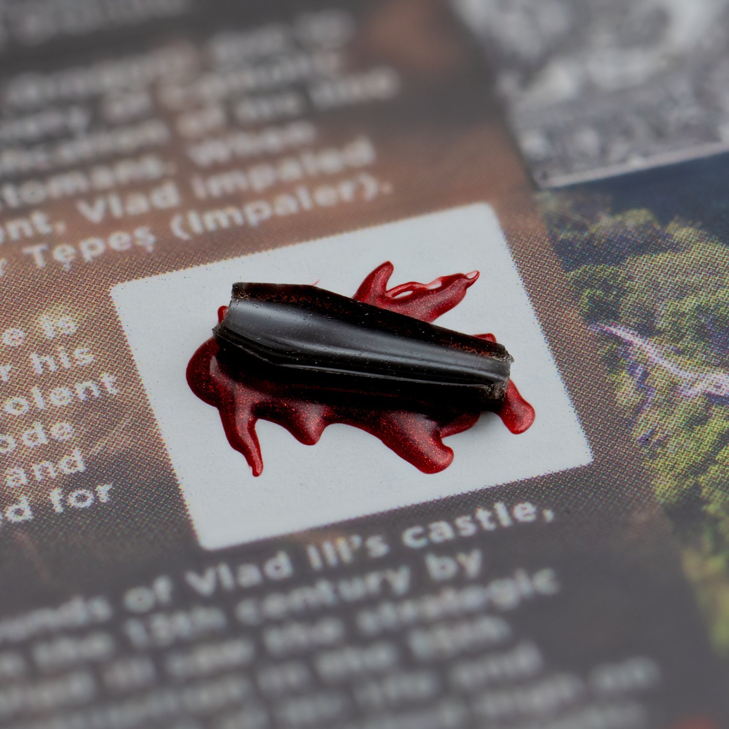 Dracula's Castle Soil Coffin - Display Card 🦇