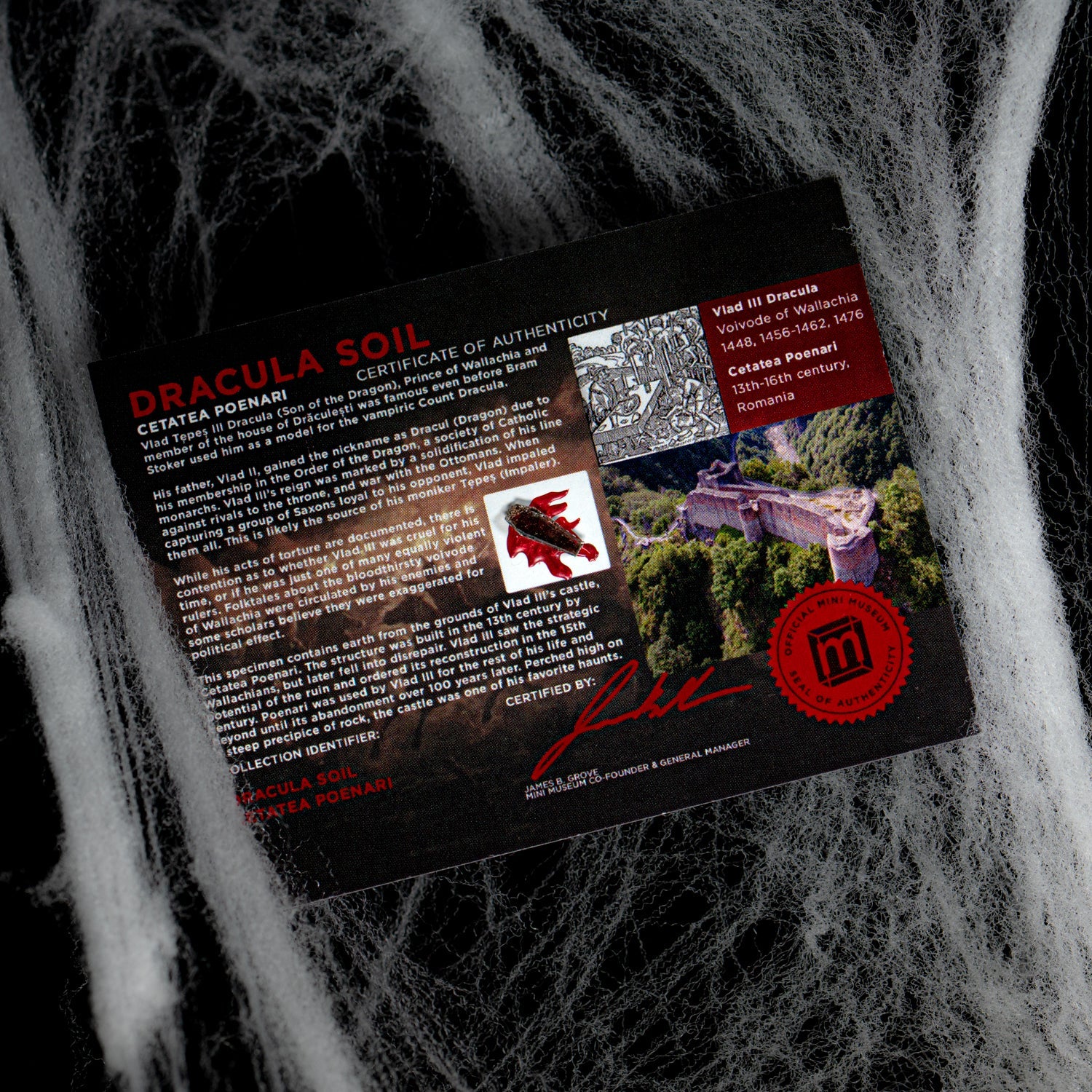 Dracula's Castle Soil Coffin - Display Card 🦇