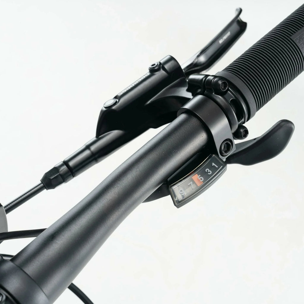 Darwin V 26-Inch Mountain Bike