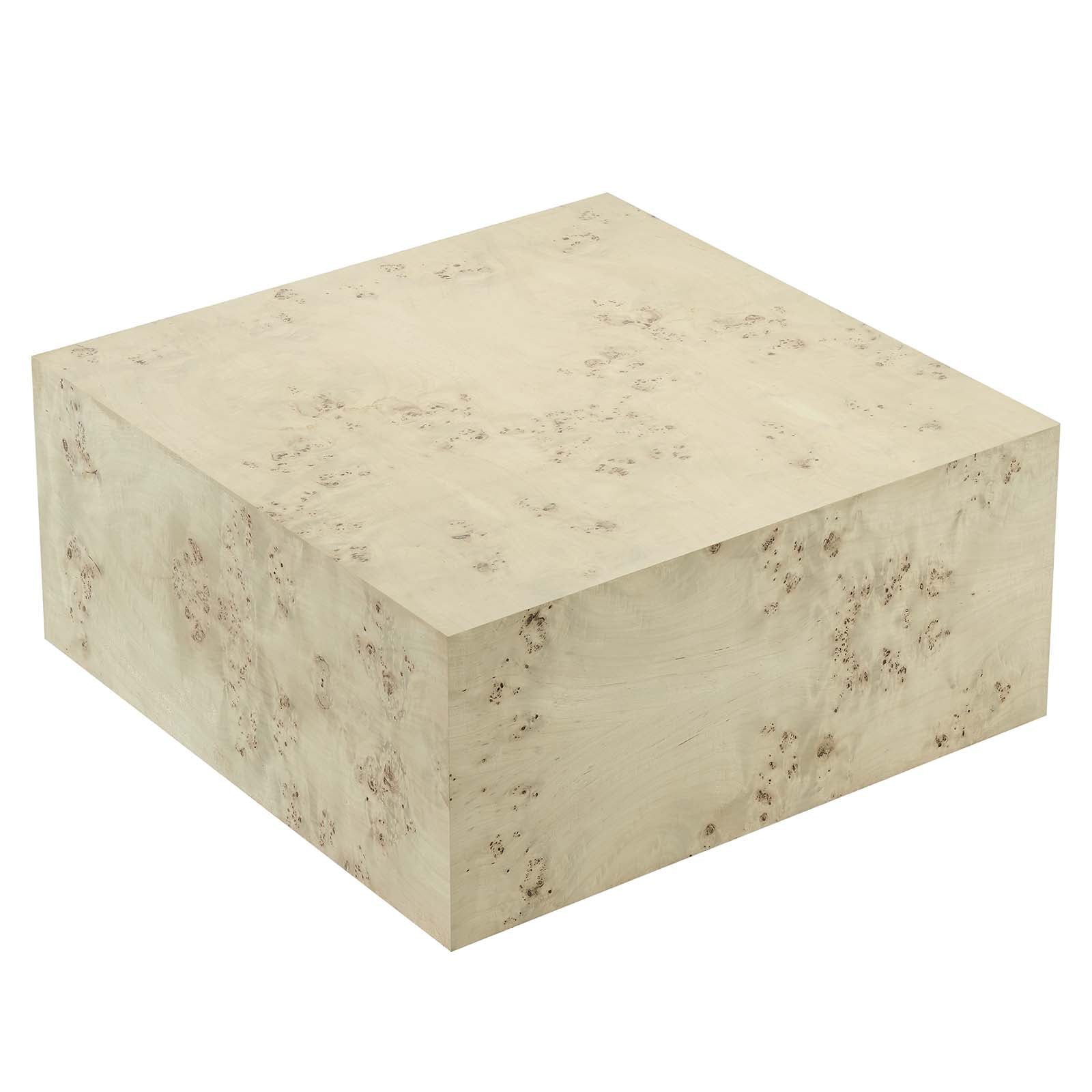 Cosmos 36" Square Burl Wood Coffee Table by Modway