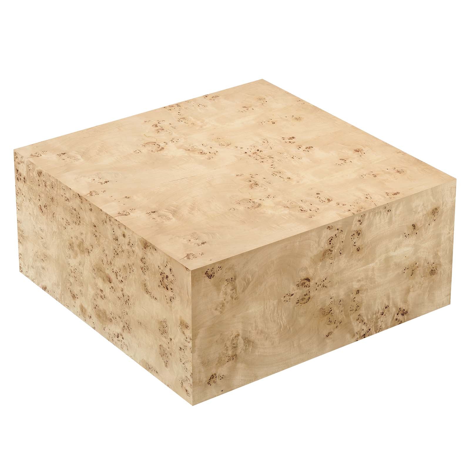 Cosmos 36" Square Burl Wood Coffee Table by Modway