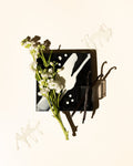 exotic jasmine fragrance oil accord