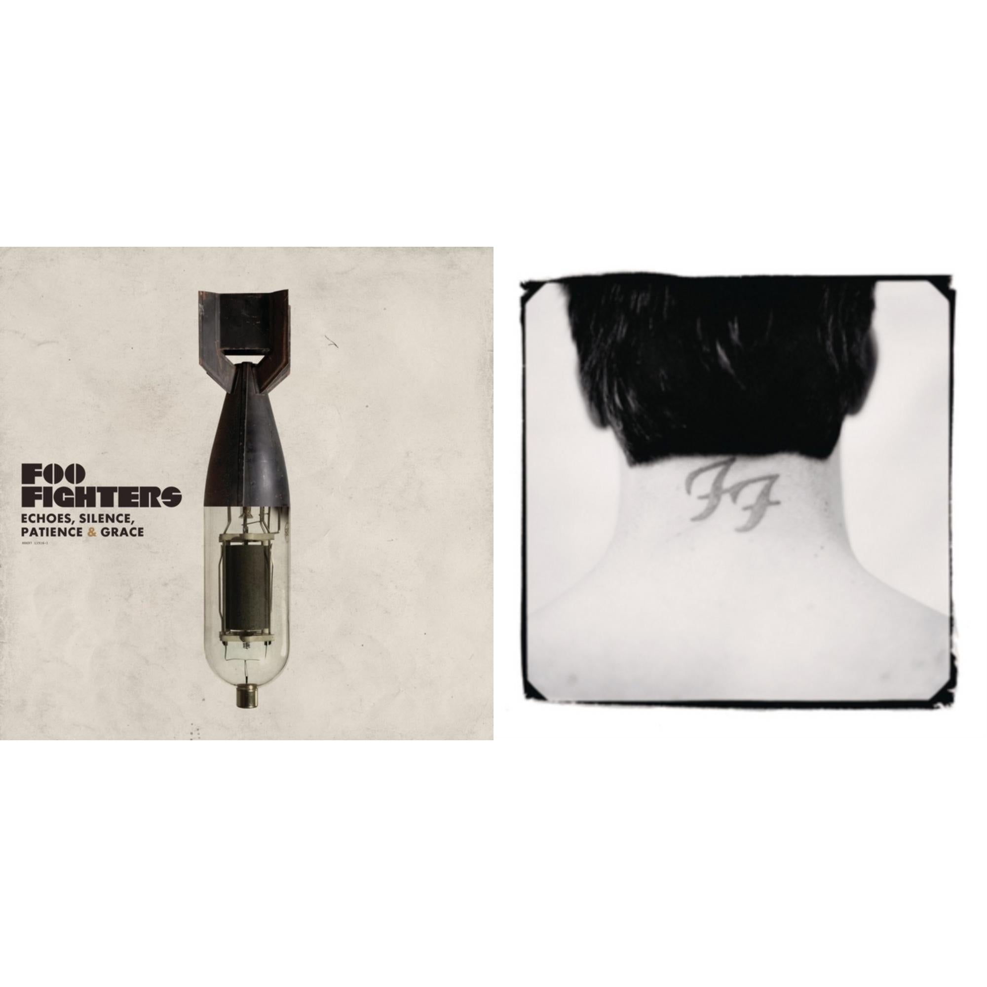 Echoes Silence Patience & Grace & There Is Nothing Left To Lose (2LP/Dl Card)