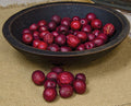 Dried Date Berries  (Pack of 4)