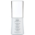 Platinum Blow Dry Spray 1.7 Oz