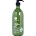 Castor & Hemp Oil Shampoo 33.8 Oz