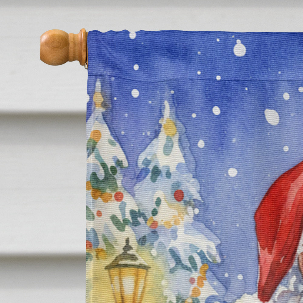 Cornish Rex Cat with Santa Claus House Flag 28x40 Porch Sleeve Pole Decorative Outside Yard Banner Artwork Wall Hanging, Polyester