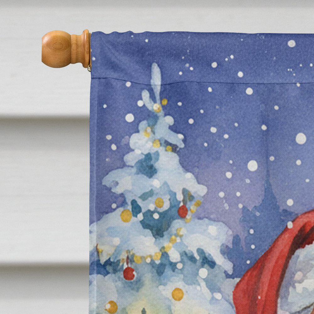 Cymric Cat with Santa Claus House Flag 28x40 Porch Sleeve Pole Decorative Outside Yard Banner Artwork Wall Hanging, Polyester