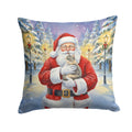 Dilute Tortoiseshell Cat with Santa Claus Decorative Throw Pillow 14x14 Indoor Outdoor Accent Cushion, Fabric Cover with Insert for Sofa, Bed, Porch & Living Room