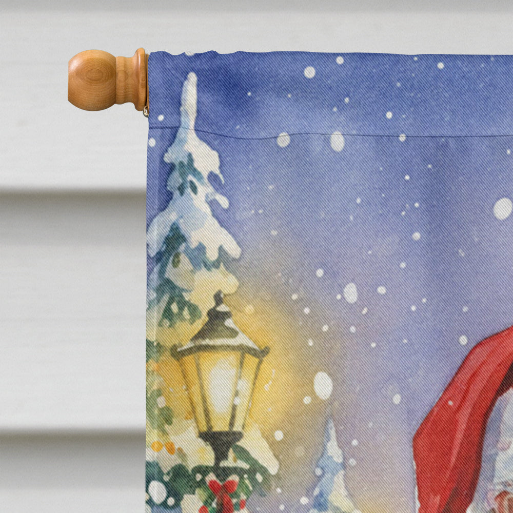 Exotic Shorthair Cat with Santa Claus House Flag 28x40 Porch Sleeve Pole Decorative Outside Yard Banner Artwork Wall Hanging, Polyester