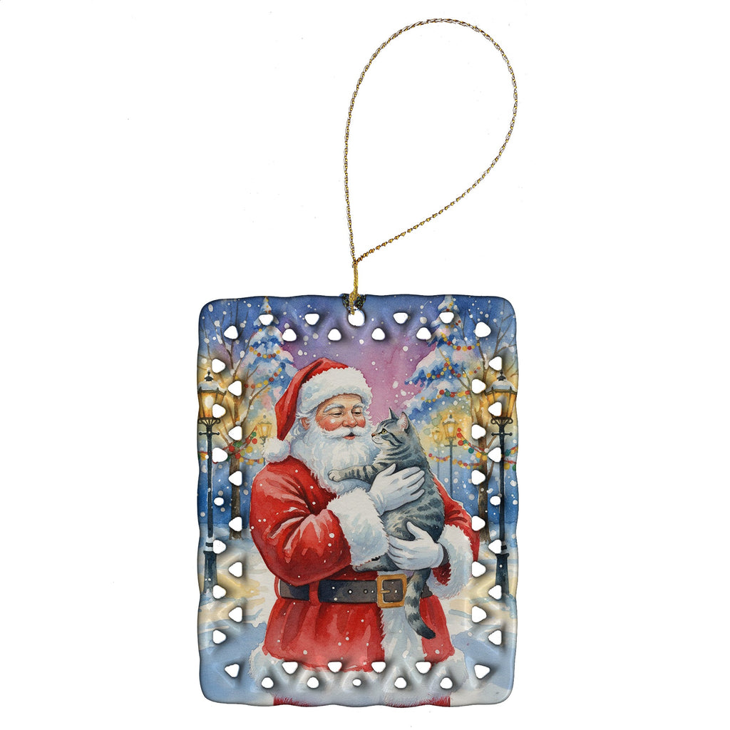 Gray Mackerel Tabby Cat with Santa Claus Porcelain Ornament Christmas Tree Hanging Decorations for Home Christmas Holiday, Rectangle, Gift, Multicolor