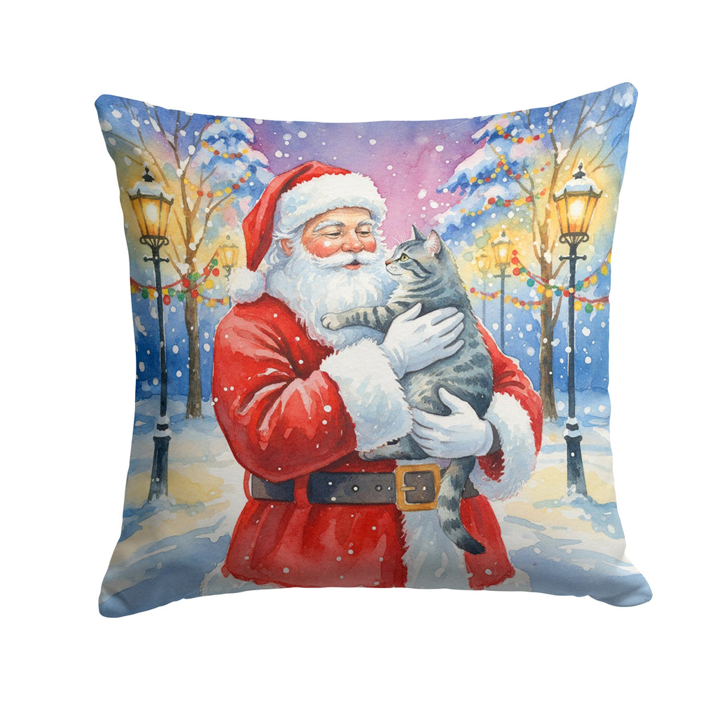 Gray Mackerel Tabby Cat with Santa Claus Decorative Throw Pillow 14x14 Indoor Outdoor Accent Cushion, Fabric Cover with Insert for Sofa, Bed, Porch & Living Room