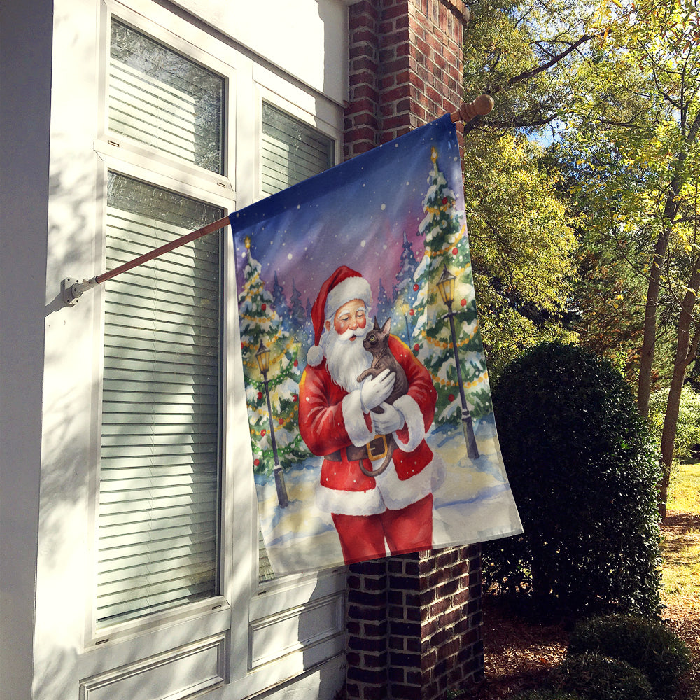 Lykoi Cat with Santa Claus House Flag 28x40 Porch Sleeve Pole Decorative Outside Yard Banner Artwork Wall Hanging, Polyester