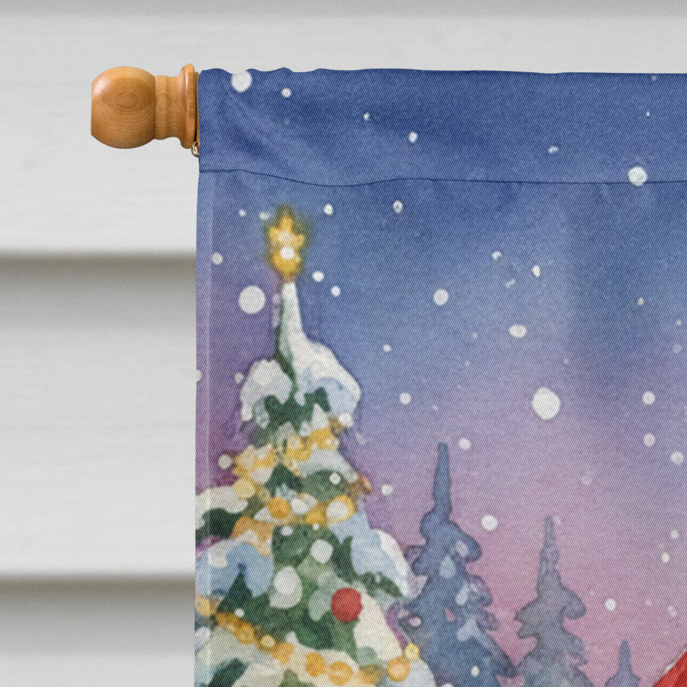 Lykoi Cat with Santa Claus House Flag 28x40 Porch Sleeve Pole Decorative Outside Yard Banner Artwork Wall Hanging, Polyester
