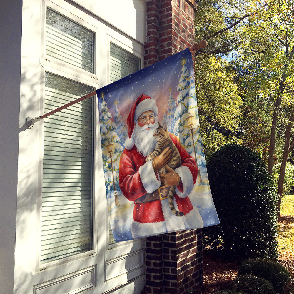 Mackerel Tabby Brown Cat with Santa Claus House Flag 28x40 Porch Sleeve Pole Decorative Outside Yard Banner Artwork Wall Hanging, Polyester