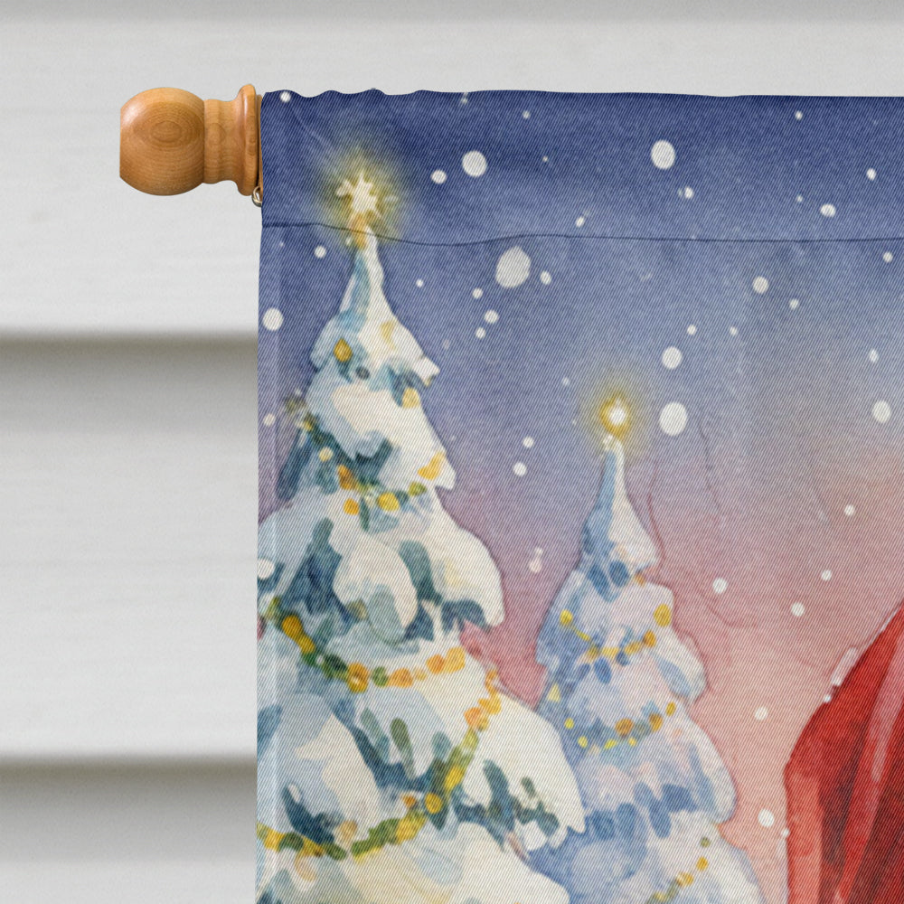Mackerel Tabby Brown Cat with Santa Claus House Flag 28x40 Porch Sleeve Pole Decorative Outside Yard Banner Artwork Wall Hanging, Polyester