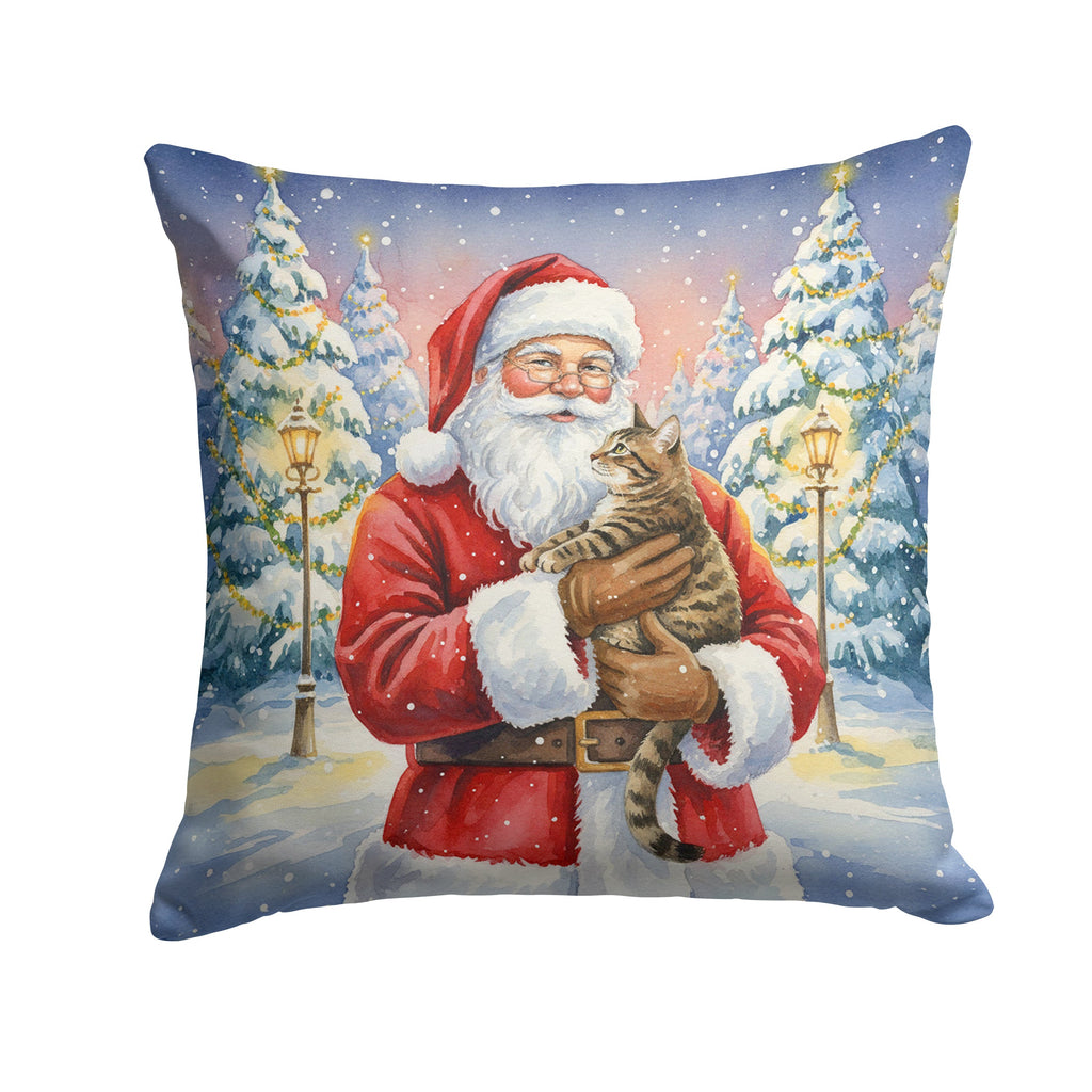 Mackerel Tabby Brown Cat with Santa Claus Decorative Throw Pillow 18x18 Indoor Outdoor Accent Cushion, Fabric Cover with Insert for Sofa, Bed, Porch & Living Room