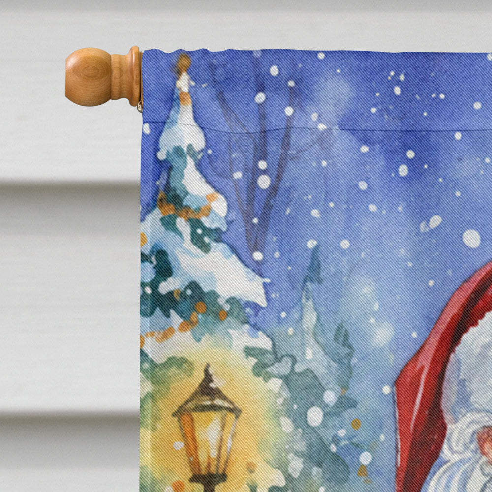 MaineCoon Brown Tabby Cat with Santa Claus House Flag 28x40 Porch Sleeve Pole Decorative Outside Yard Banner Artwork Wall Hanging, Polyester